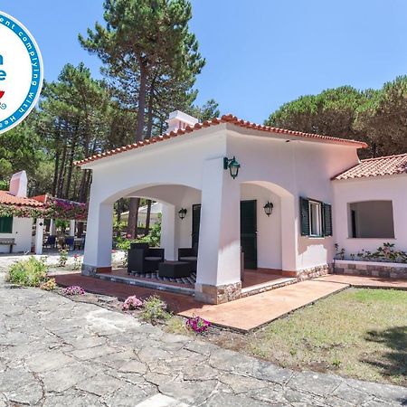 Villa Ocean, Pines And Mountain - Renovated February 2025 - Ac Colares Exterior foto