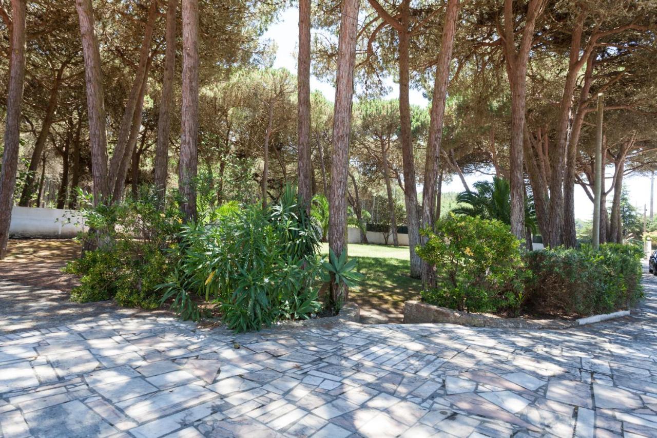 Villa Ocean, Pines And Mountain - Renovated February 2025 - Ac Colares Exterior foto